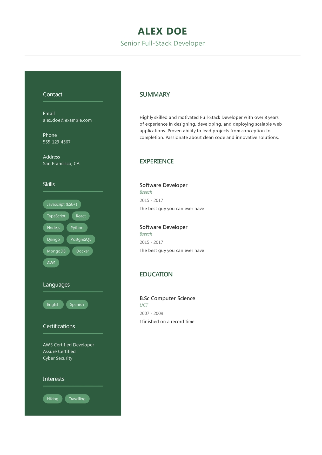 Executive Resume Template